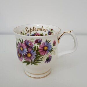 Vintage Royal Albert Flower of the Month Series September Michaelmas Daisy Mug